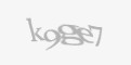 Защитный код