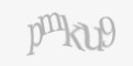 Защитный код