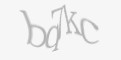 Защитный код